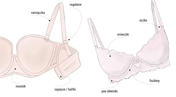 Dwa biustonosze z opisami części: ramiączka, regulator, mostek, zapięcie, fiszbiny, miseczki, pas obwodu. Rozmiar 70b jaki to rozmiar?