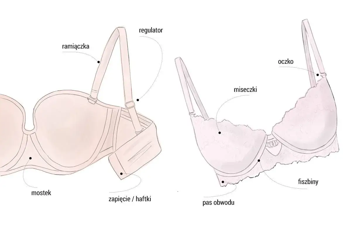 Ilustracja pokazuje elementy biustonosza: ramiączka, miseczki, fiszbiny, pas obwodu, mostek, regulator i zapięcie. Pomaga to zrozumieć, jak dobierać biustonosz.